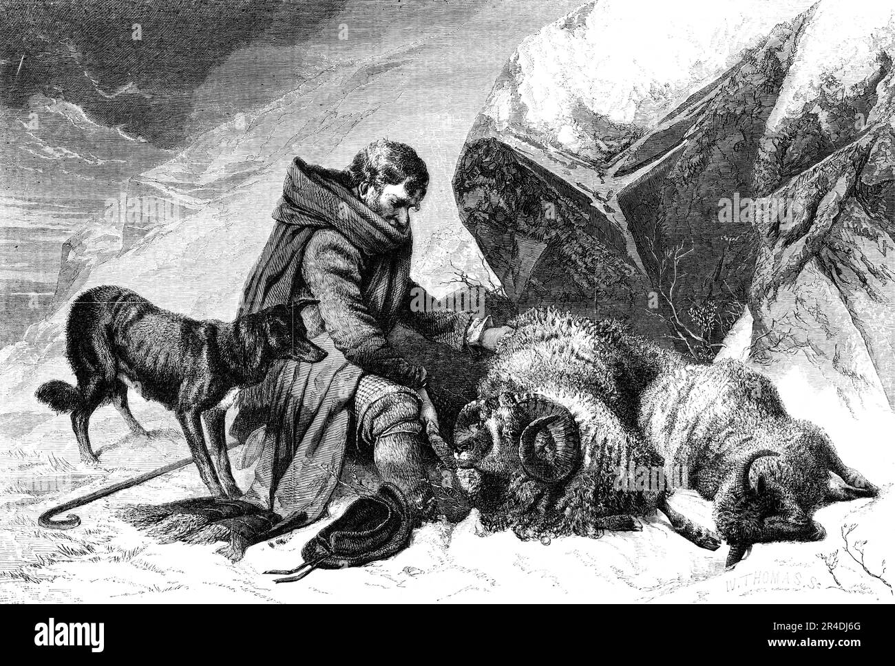 &quot;Severe Weather&quot; - painted by R. Ansdell - from the Exhibition of the British Institution, 1856. Engraving of '...Mr. Ansdell's masterpiece...Very fine and truthful it is. The shepherd and his dogs are equally cowering from the cold, bitter, biting blast that blows so pinchingly on the stones which serve (but indifferently) to protect them from a Scottish north-east wind. Very life-like is the entire scene. True to Highland characteristics and Highland nature'. From &quot;Illustrated London News&quot;, 1856. Stock Photo