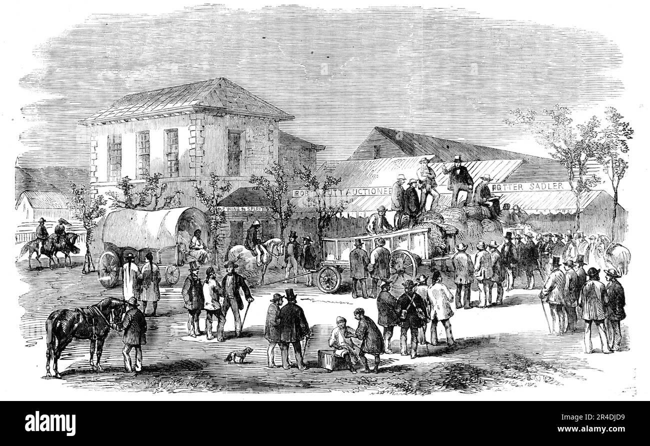 First Sale of Sugar in the Market Square of D'Urban, Port Natal, 1856. Durban, South Africa: 'The waggons contain the sugar in bags; and one of the proprietors, Mr. H. Milner, J.P ., of Springfield, with helmet hat; as well as the auctioneer, Mr. Acutt, who patriotically rendered his services gratuitously on the occasion, are...standing on one of the waggons...the prices realised for the whole averaged more than 30s. per cwt. The natives...are not as yet well adapted for this kind of labour, and their peculiar habits and customs render them unwilling to engage in protracted service. This diffi Stock Photo