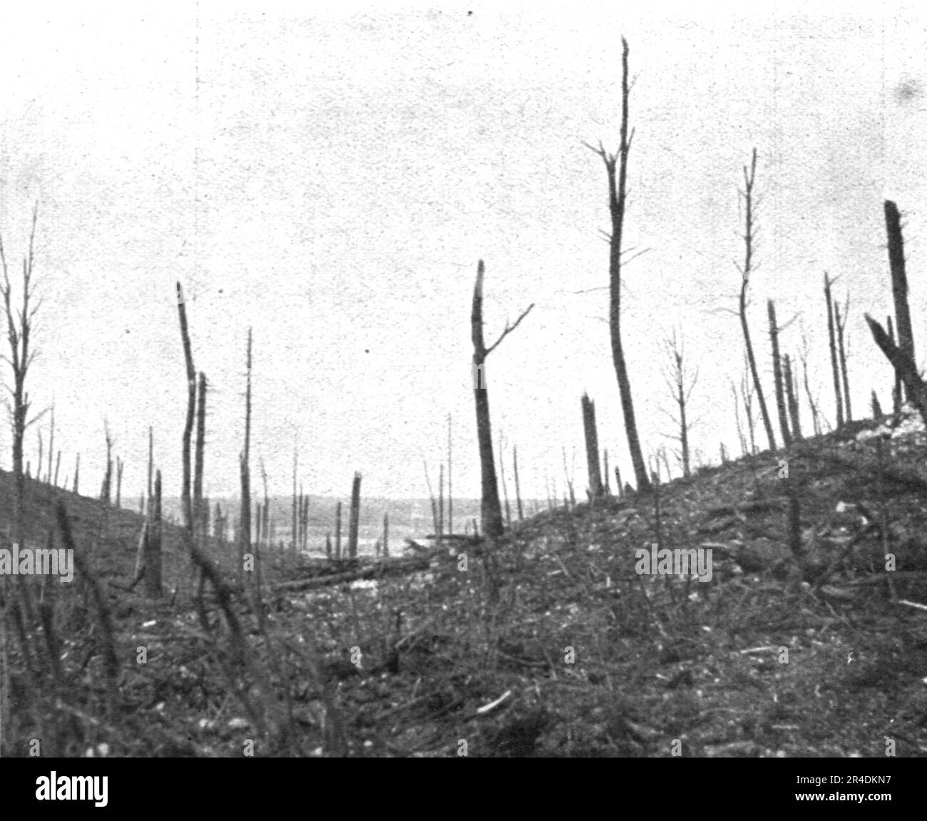 Ww1 wwi champ de bataille france hires stock photography and images