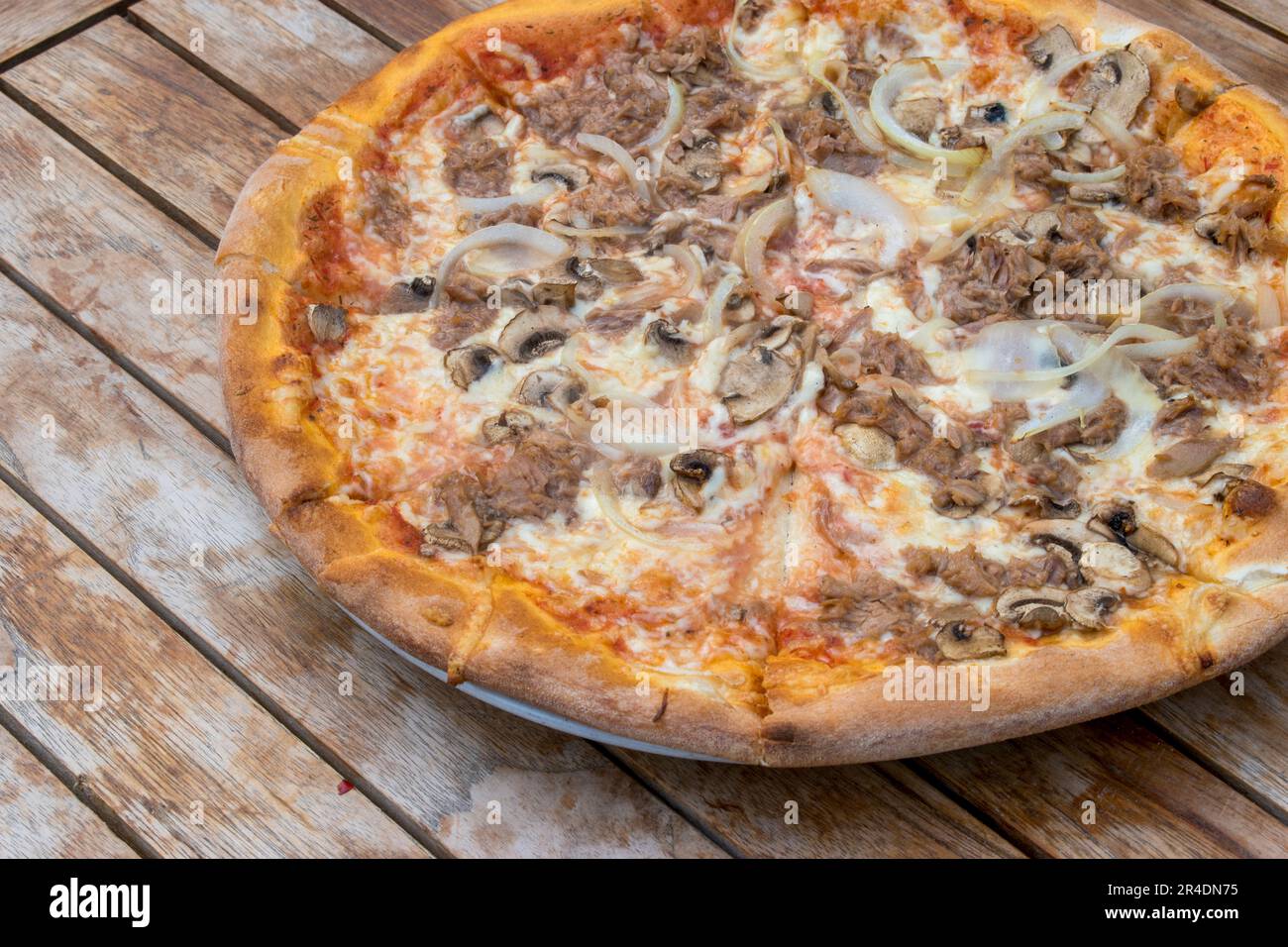 austria, vienna - 10 may 2023 pizza with tuna fish, onion and mushroom ...