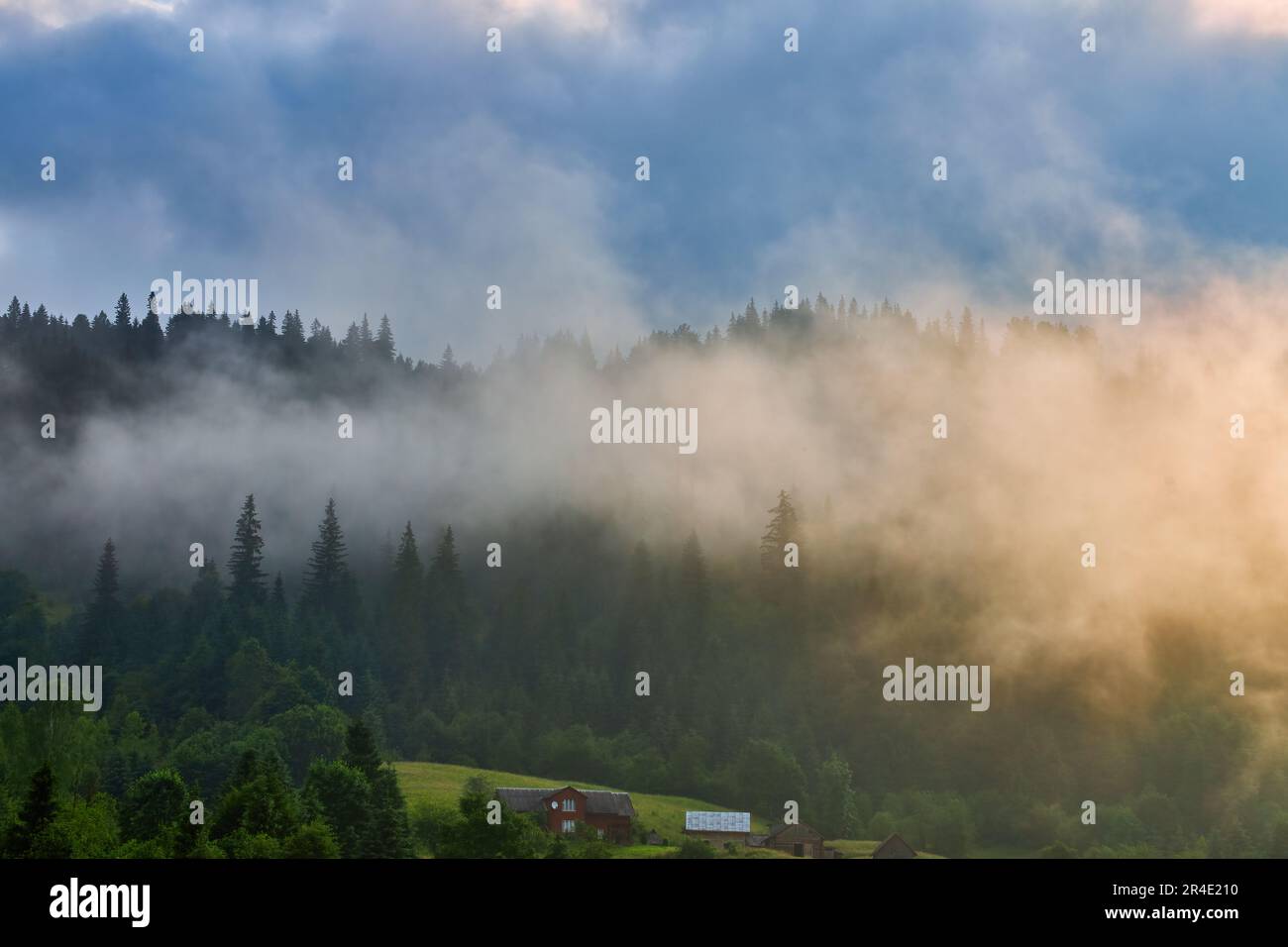 Landscape with fog in mountains and rows of trees Stock Photo - Alamy