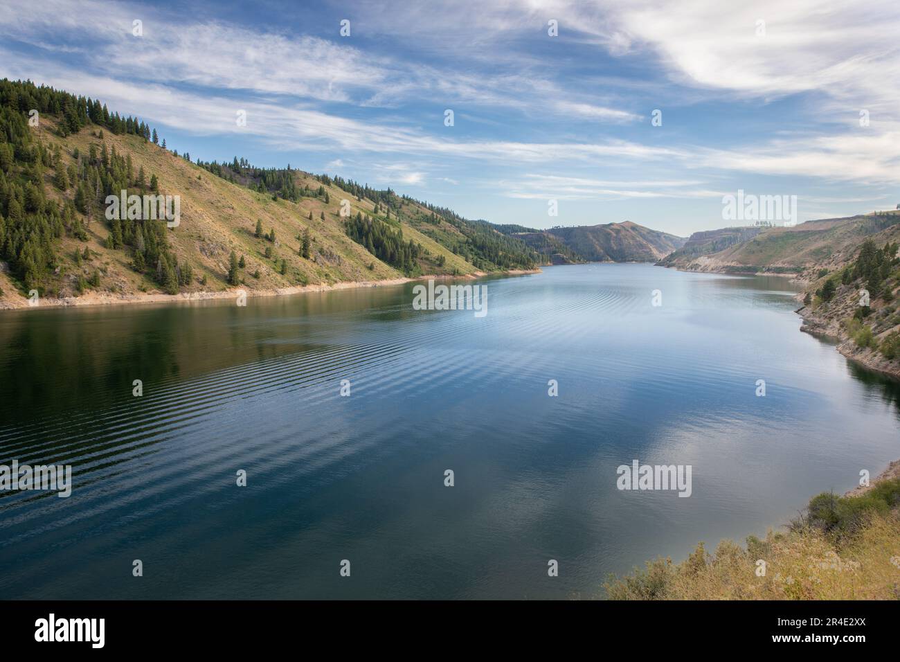 exploring nature Stock Photo