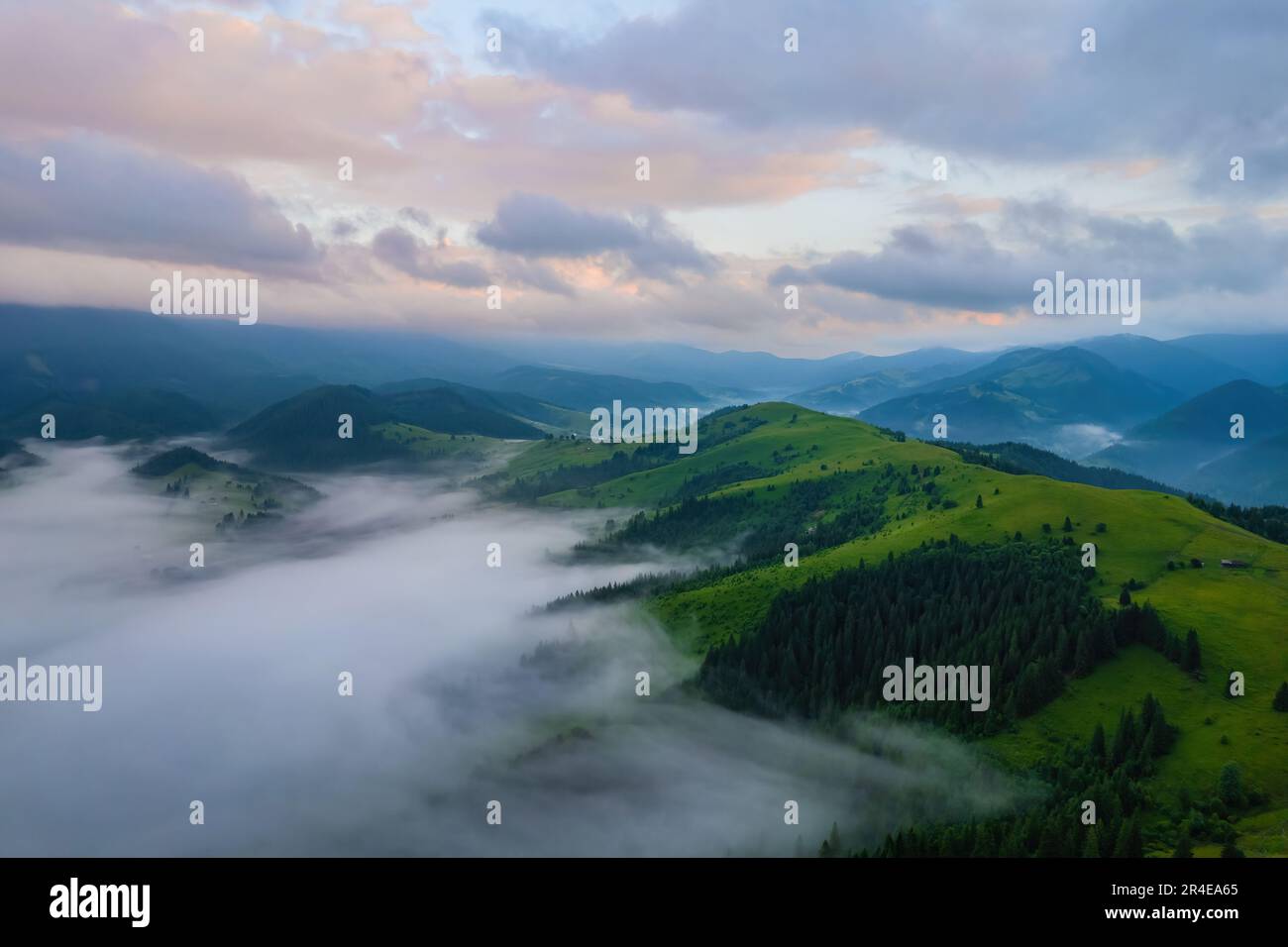 Landscape with fog in mountains and rows of trees Stock Photo - Alamy
