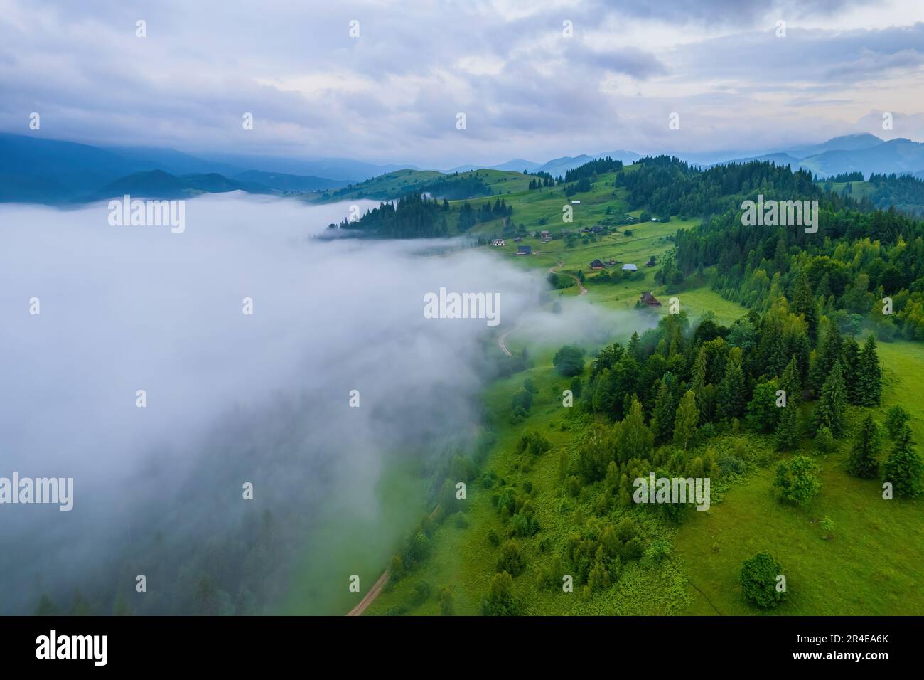 Landscape with fog in mountains and rows of trees Stock Photo - Alamy