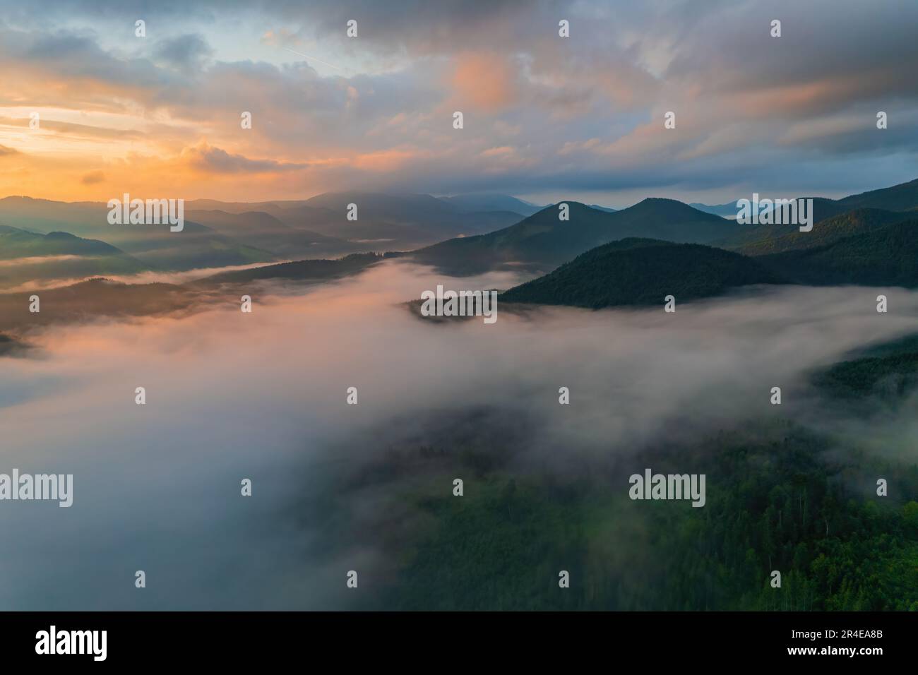 Landscape with fog in mountains and rows of trees Stock Photo - Alamy