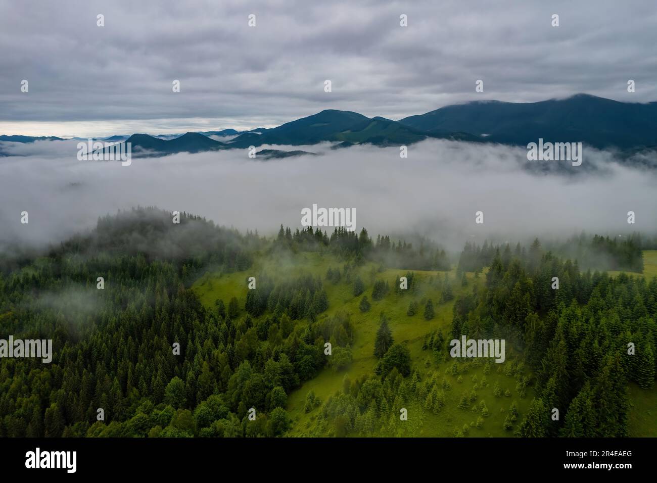 Landscape with fog in mountains and rows of trees Stock Photo - Alamy