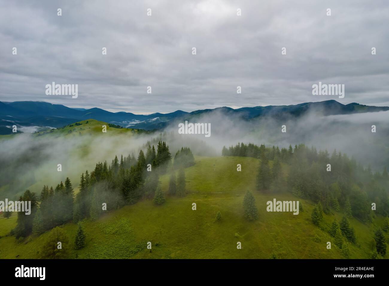 Landscape with fog in mountains and rows of trees Stock Photo - Alamy