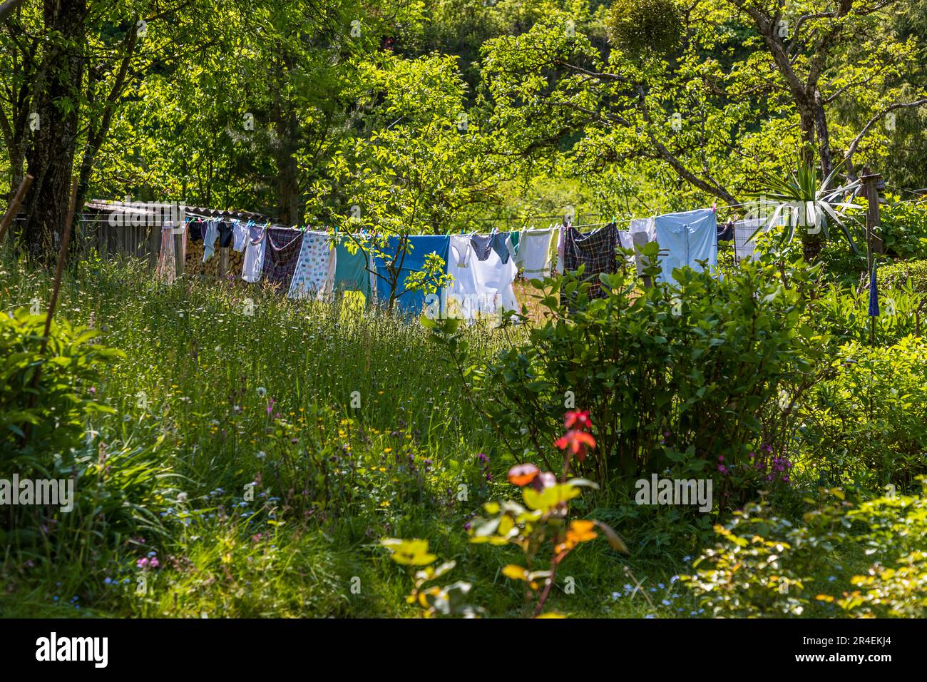 Laundry hangs on the line in a wildly sprawling garden in Salzburg, Austria Stock Photo