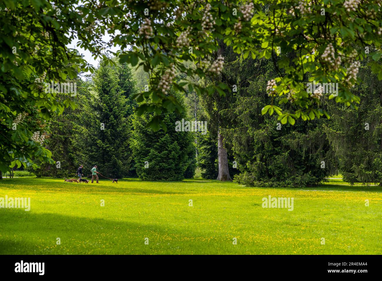 Dogs in the park of Hellbrunn Palace in Salzburg, Austria Stock Photo