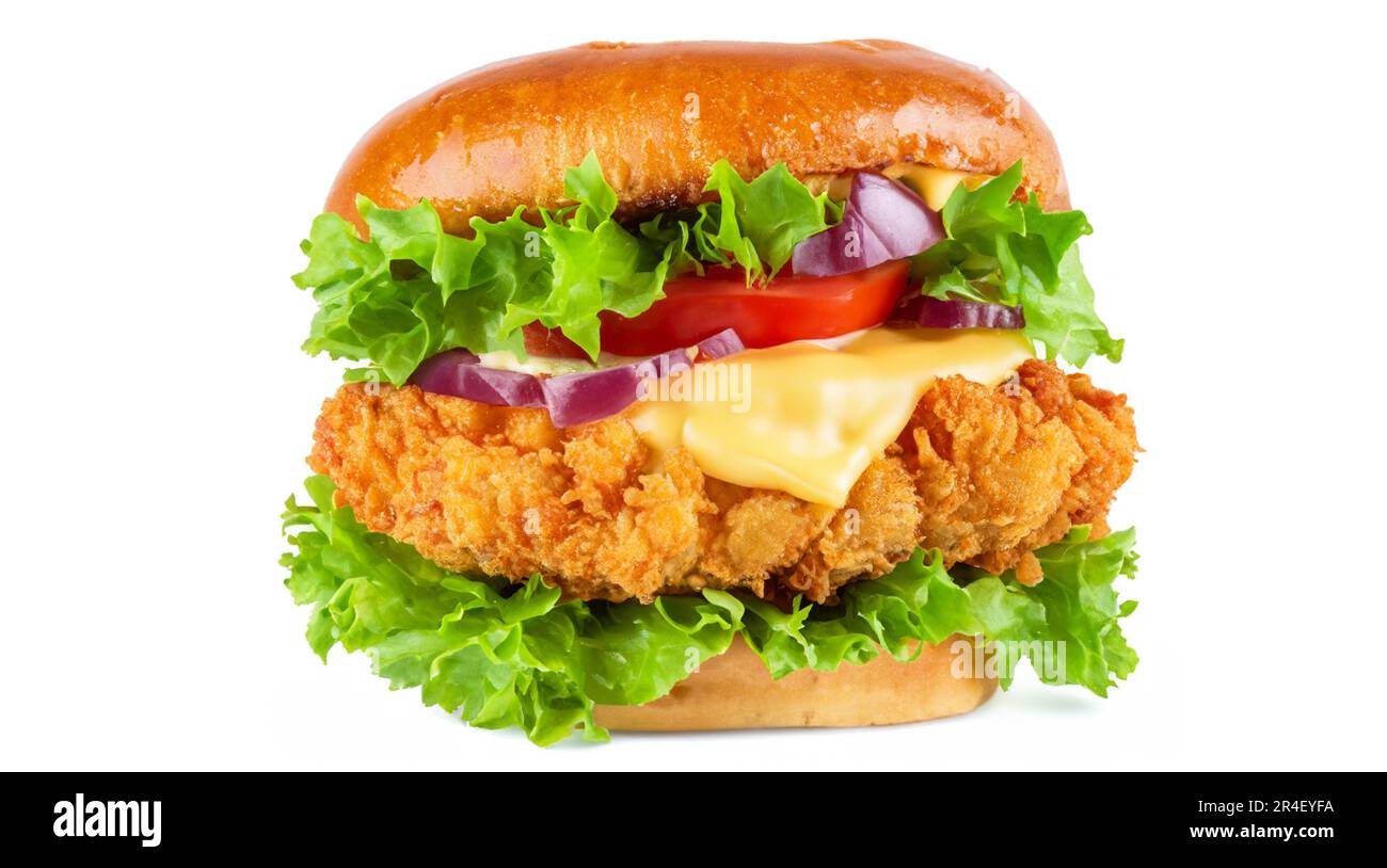 Crispy deep Fried Chicken Burger with cheese, tomato, lettuce, pickles