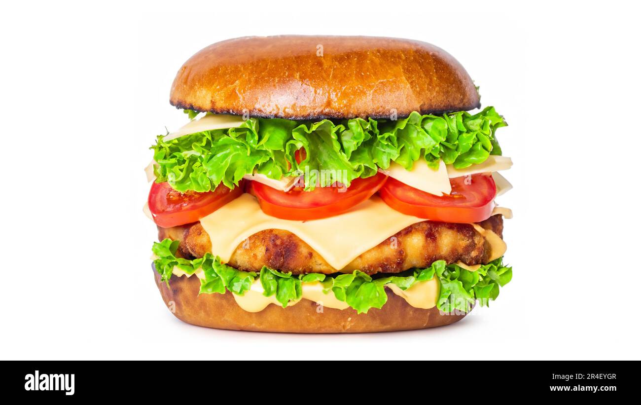 Crispy deep Fried Chicken Burger with cheese, tomato, lettuce, pickles