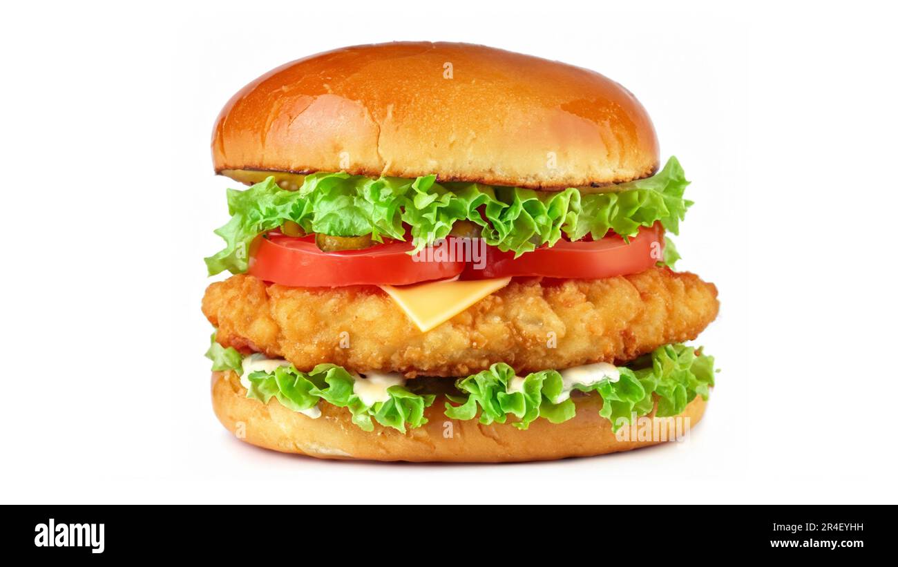Crispy deep Fried Chicken Burger with cheese, tomato, lettuce, pickles