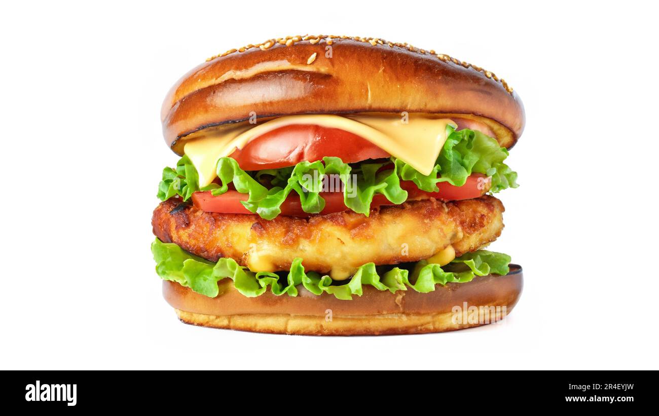 Crispy deep Fried Chicken Burger with cheese, tomato, lettuce, pickles