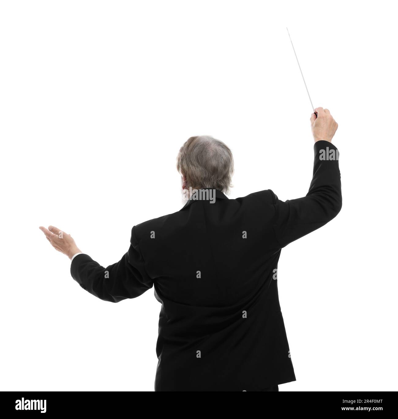 Professional conductor with baton on white background, back view Stock