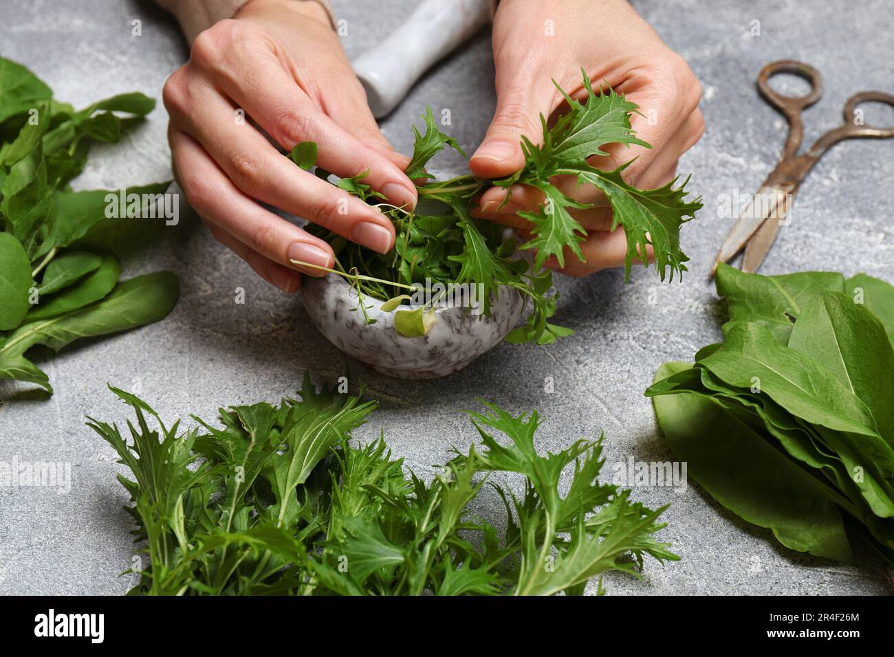 Woman with fresh green herbs at light grey table, closeup Stock Photo