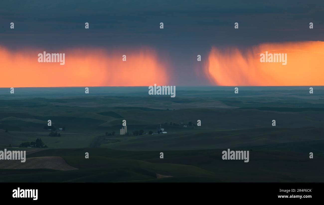 Ominous view across the Palouse in Eastern Washington of rain shaft at sunset over spring fields Stock Photo