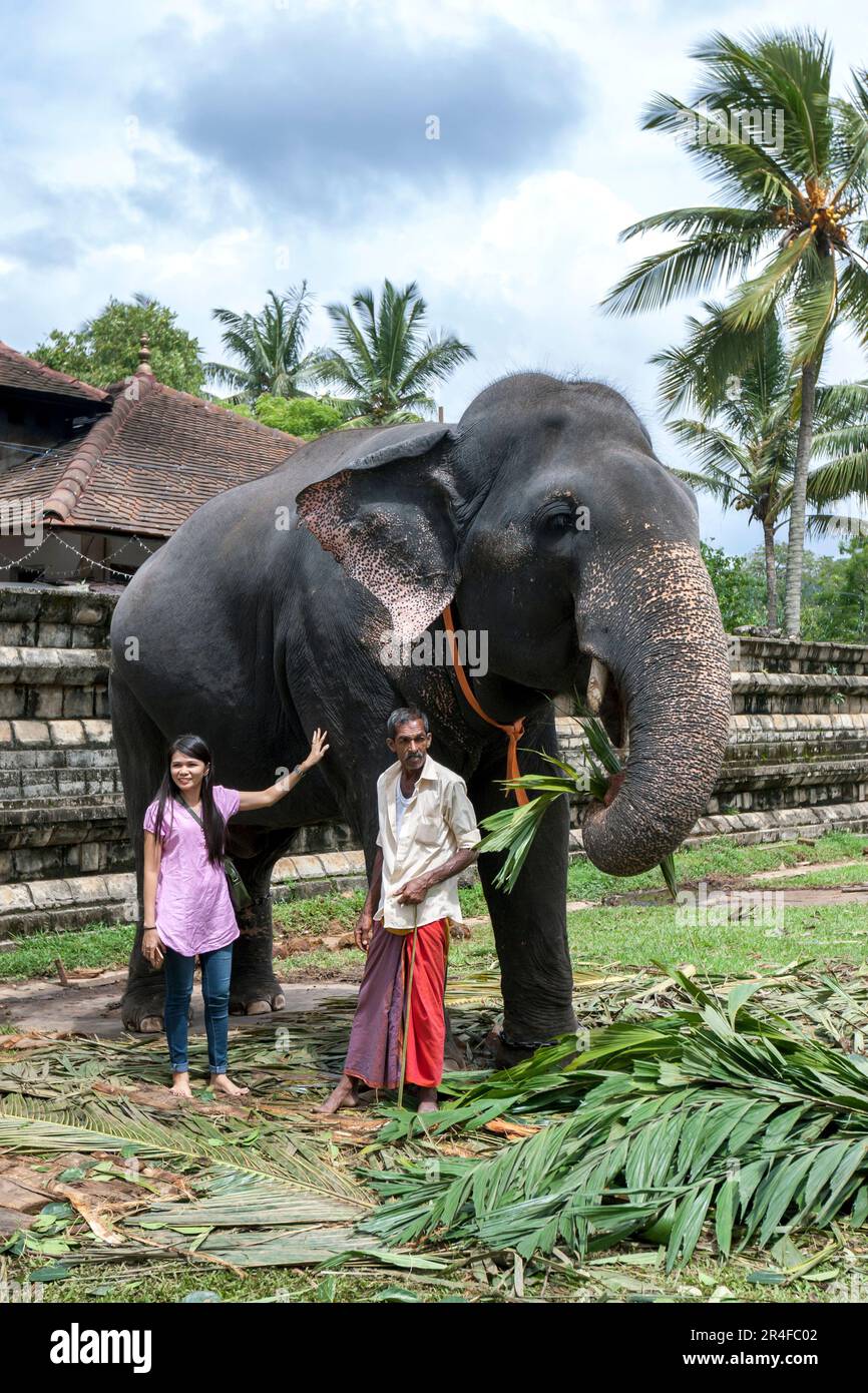A lady petting a ceremonial elephant whilst a mahout watches within the Temple of the Sacred Tooth Relic at Kandy in Sri Lanka Stock Photo