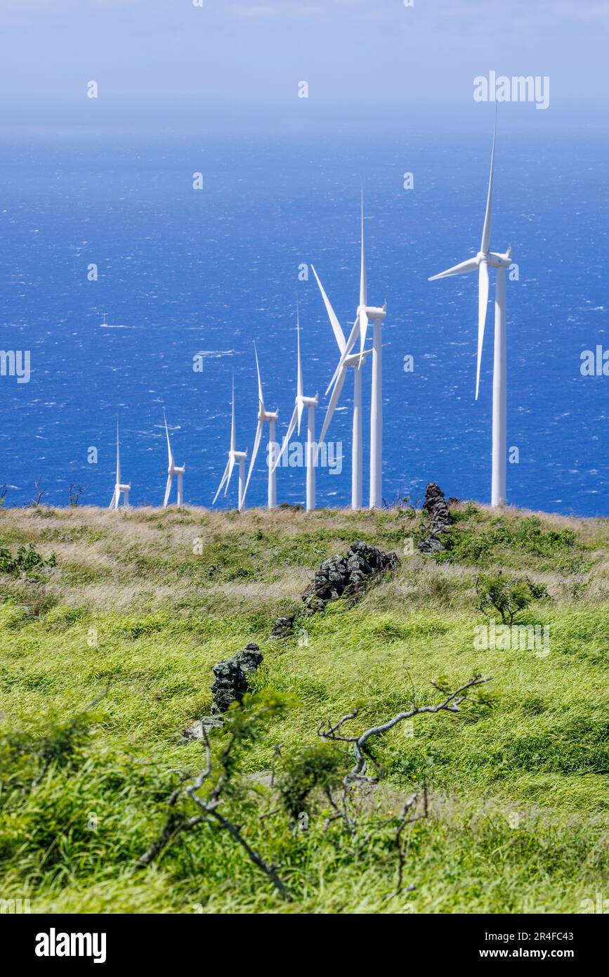 The remains of a ancient Hawaii wall stand in front of the Auwahi Wind Turbines on the southeast coast of Maui, Hawaii, jointly owned by Sempra U.S. G Stock Photo