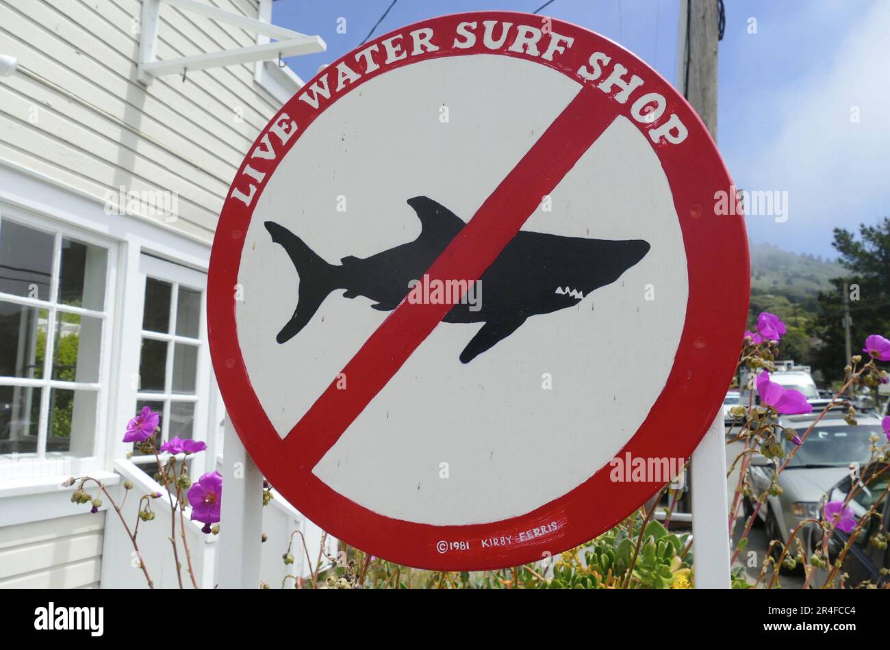 Stinson surf shop best sale