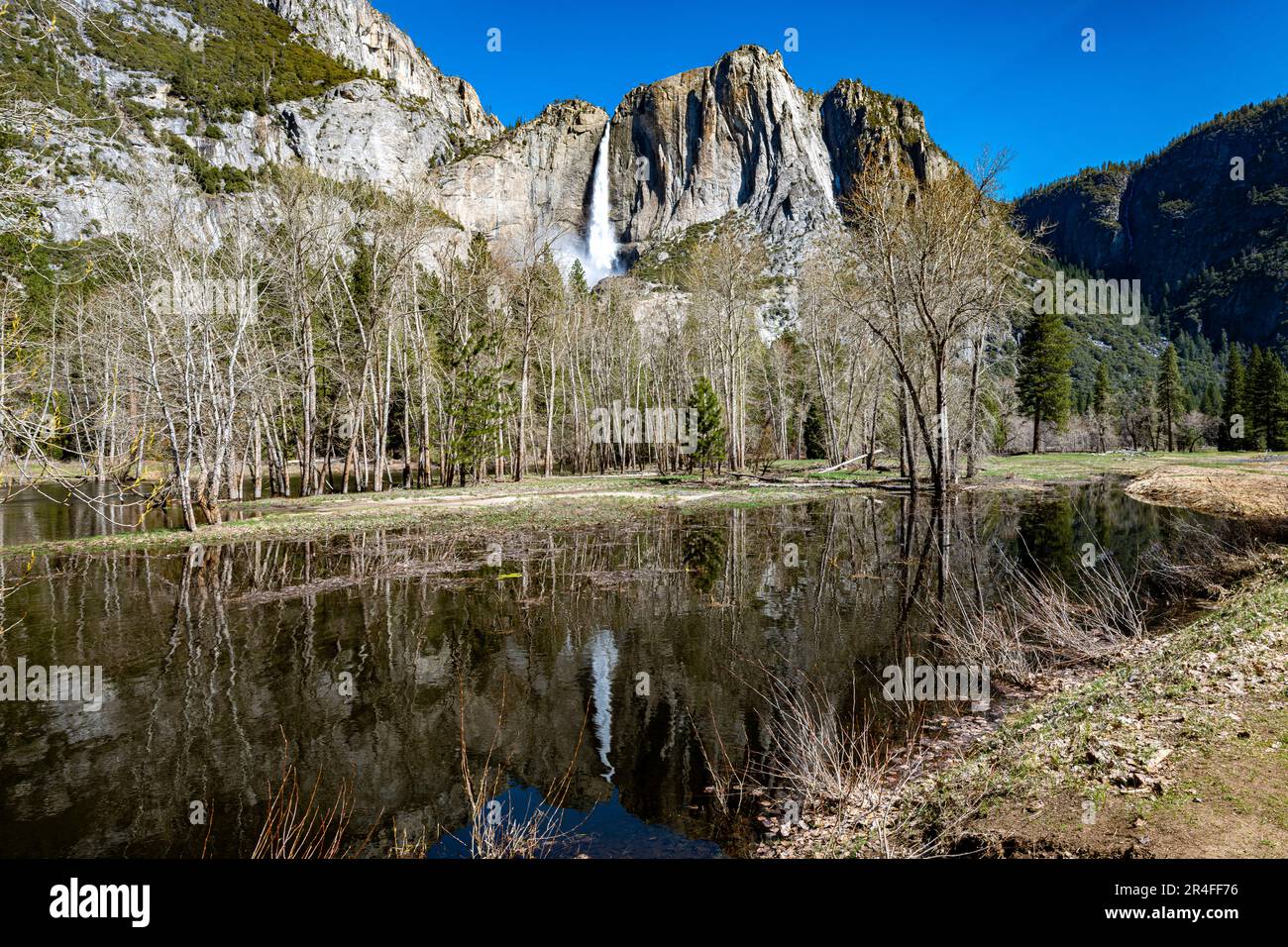 Springtime in Yosemite National Park Stock Photo