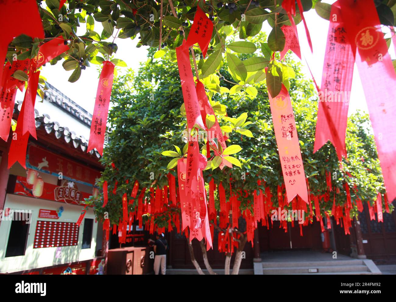 NANJING, CHINA - MAY 28, 2023 - Wishing cards are seen on osmanthus trees in the Dacheng Hall of Confucius Temple in Nanjing, East China's Jiangsu pro Stock Photo