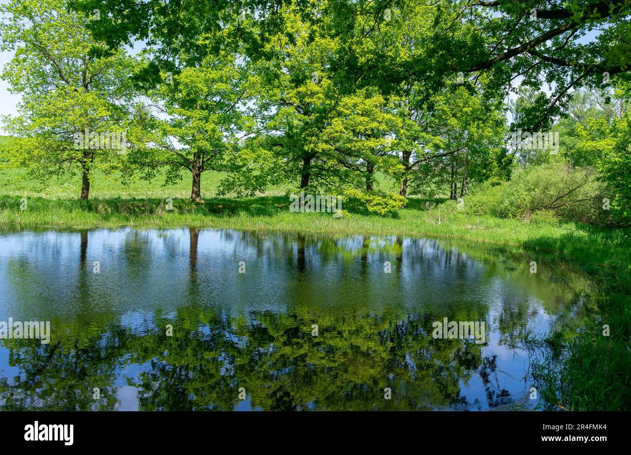 Water with trees hi-res stock photography and images - Alamy