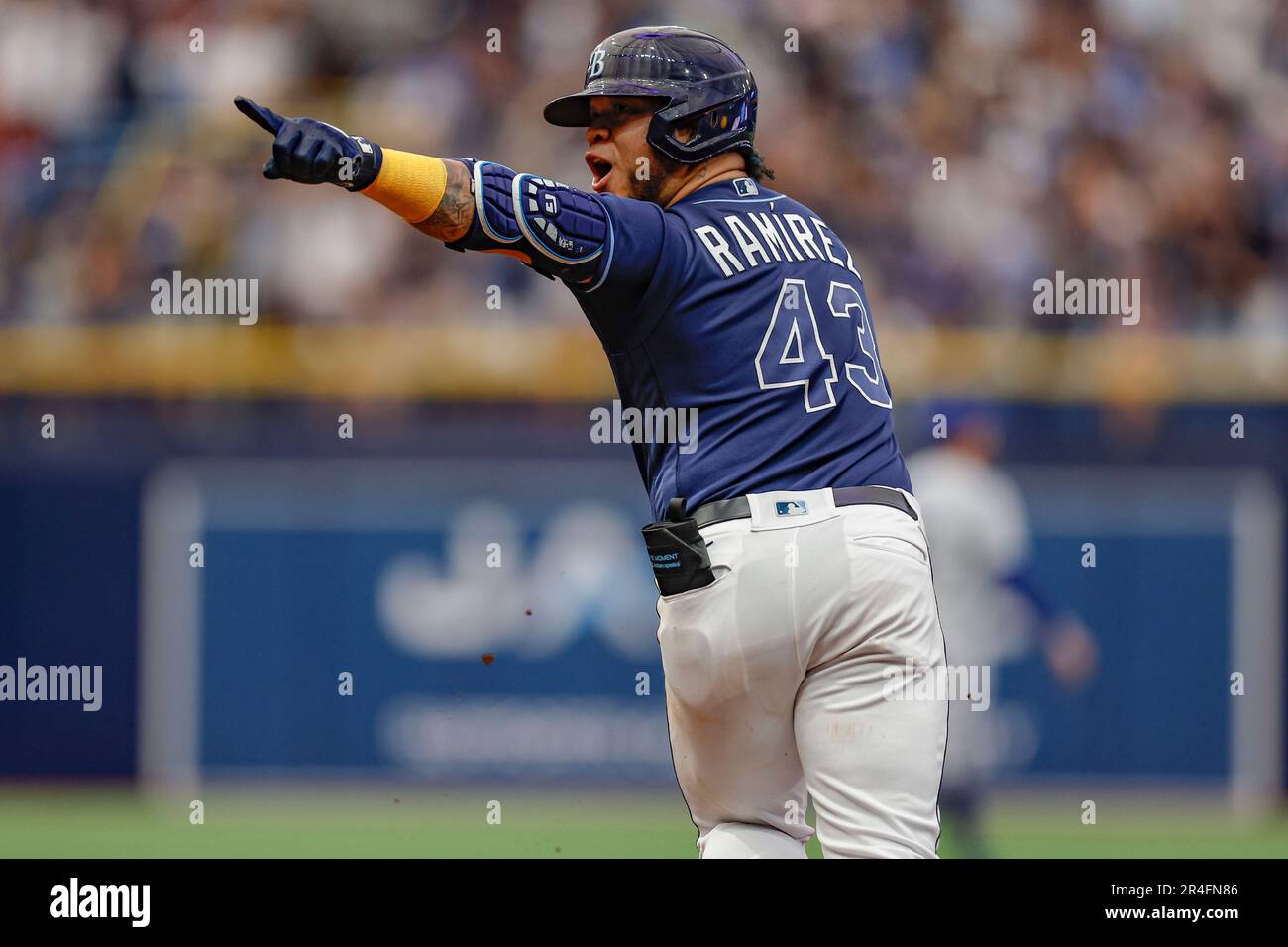 St. Petersburg, FL USA; Tampa Bay Rays designated hitter Harold Ramirez