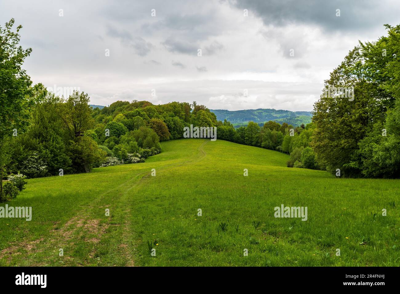Springtime Bile Karpaty mountains bellow Kanur hill on czech - slovakian borders with meadow, hiking trail, trees and hills on the background Stock Photo