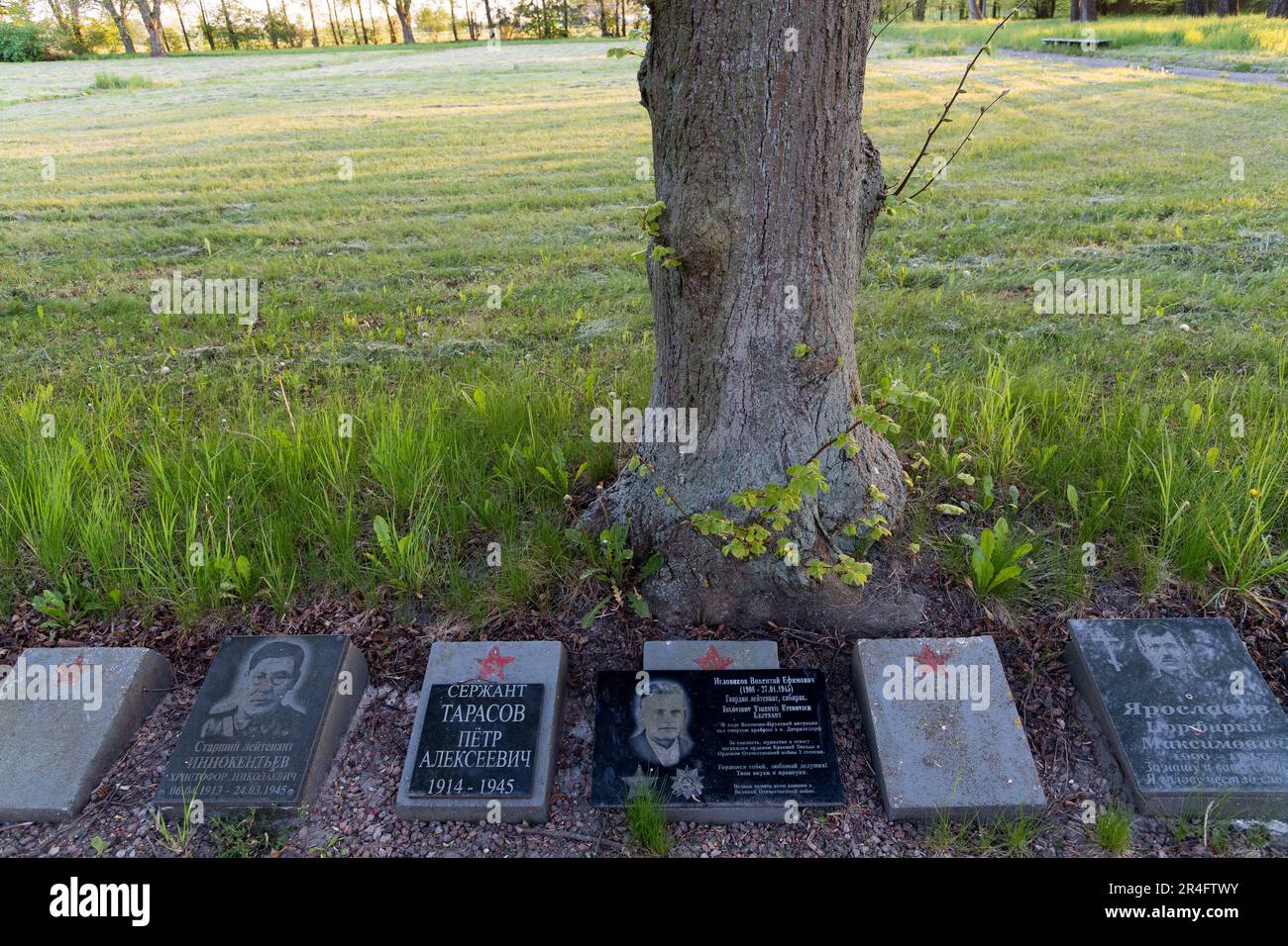 Biggest soviet war cemetery hi-res stock photography and images - Alamy