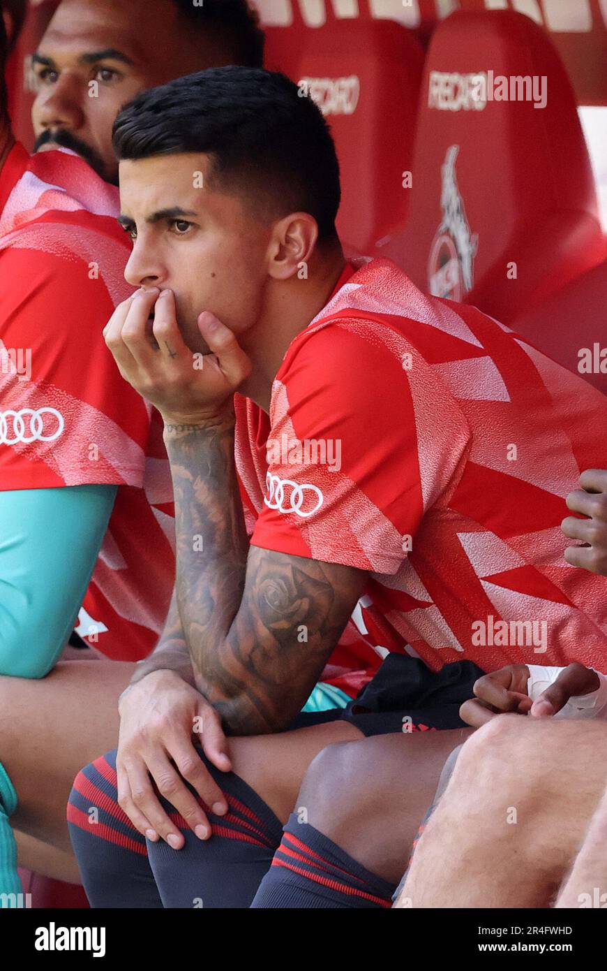 Joao Cancelo of FC Bayern Muenchen  Deutscher Meister 2023 FC Bayern MŸnchen feiert  Fussball 1 . Bundesliga Saison 2022 / 2023 1. FC Kšln Koeln - FC Bayern MŸnchen  celebrate after their side finished the season as Bundesliga champions  © diebilderwelt / Alamy Stock Stock Photo