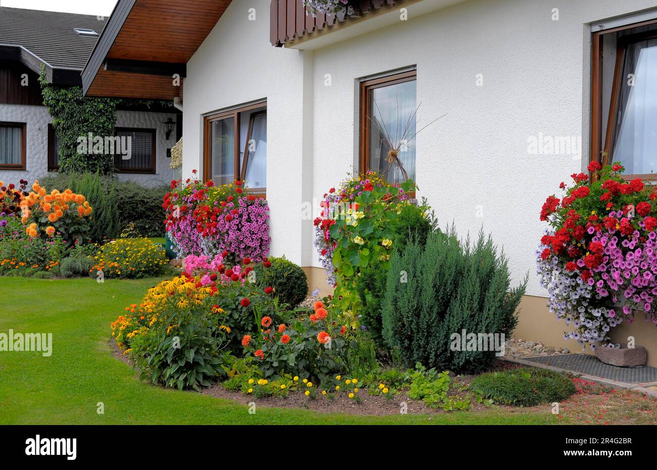 Baden-Wuerttemberg, Black Forest house with flower garden in summer, different summer flowers in the garden, petunias and geraniums at the window Stock Photo