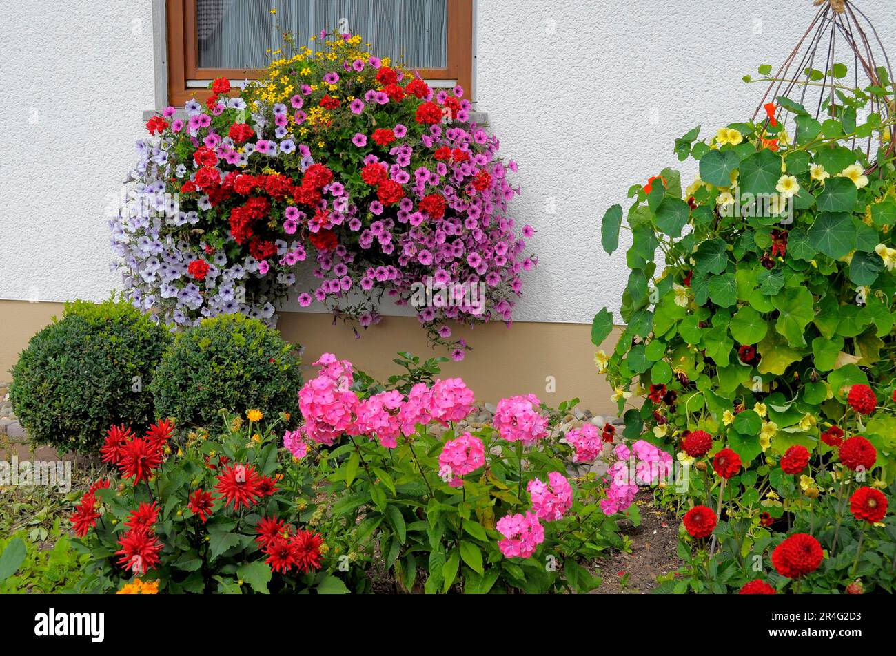 Baden-Wuerttemberg, Black Forest house with flower garden in summer, different summer flowers in the garden, petunias and geraniums at the window Stock Photo
