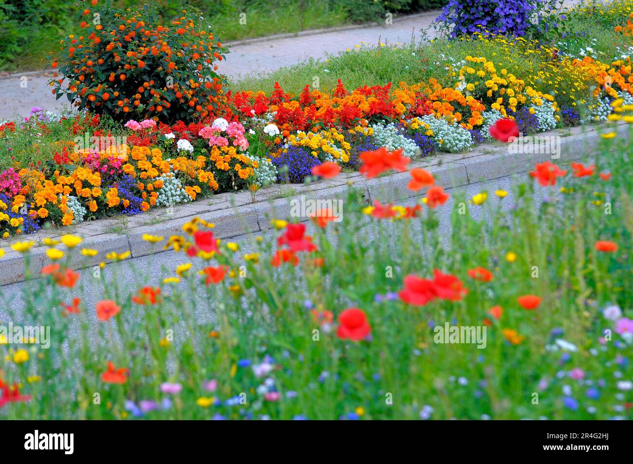 Summer flower bed in Dobel Stock Photo Alamy