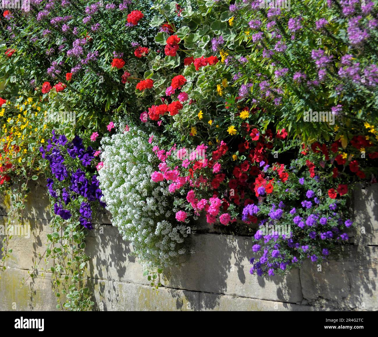 Various summer hi-res stock photography and images - Alamy