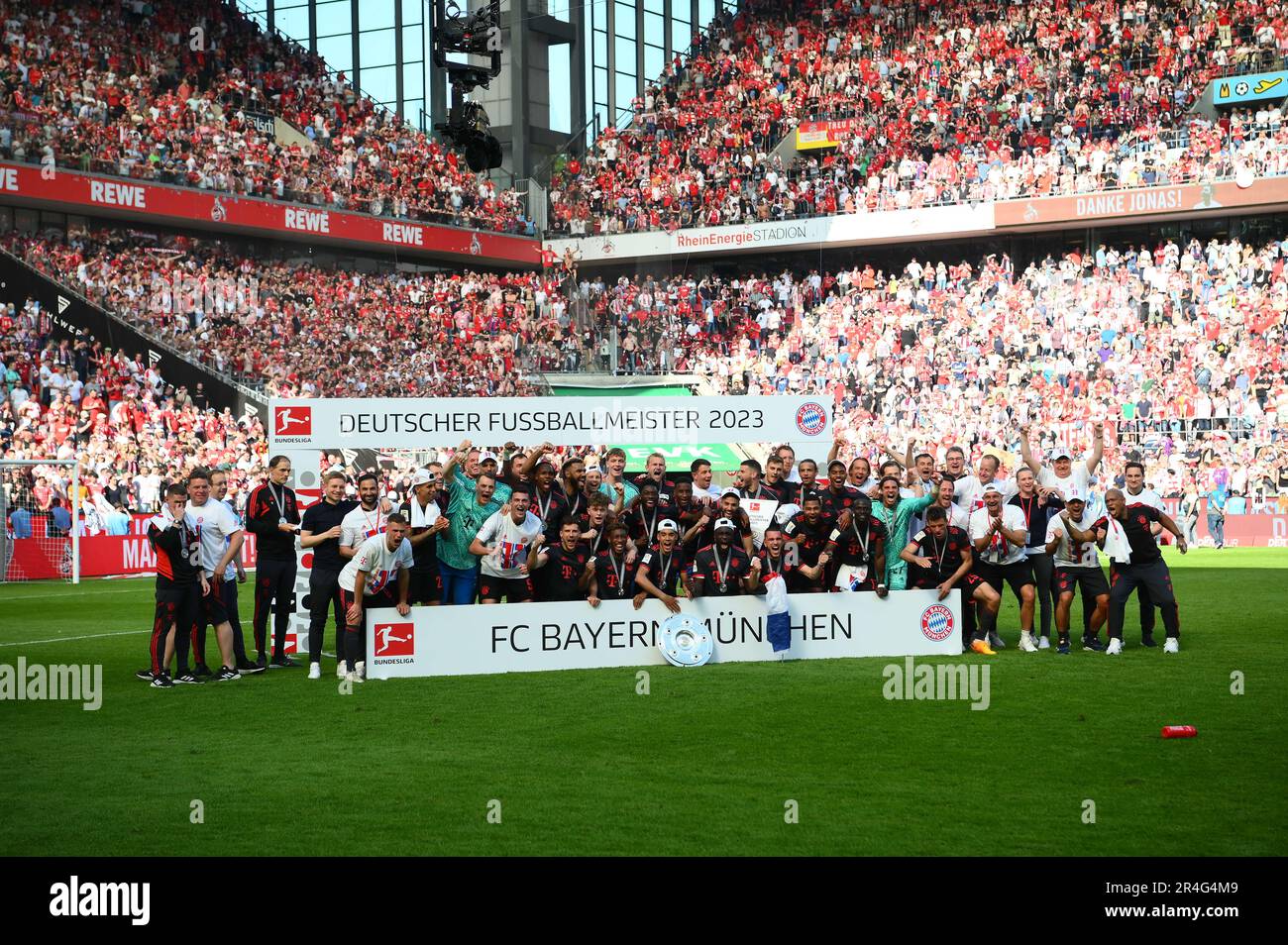 Championes de fútbol — Stadium