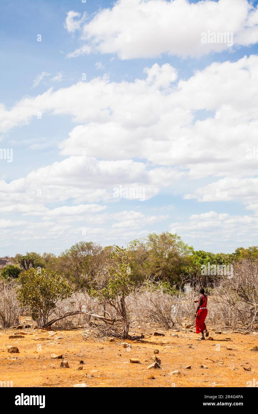 Kenya, Africa. Man of Masai ethnical group walking alone in savanna Stock Photo
