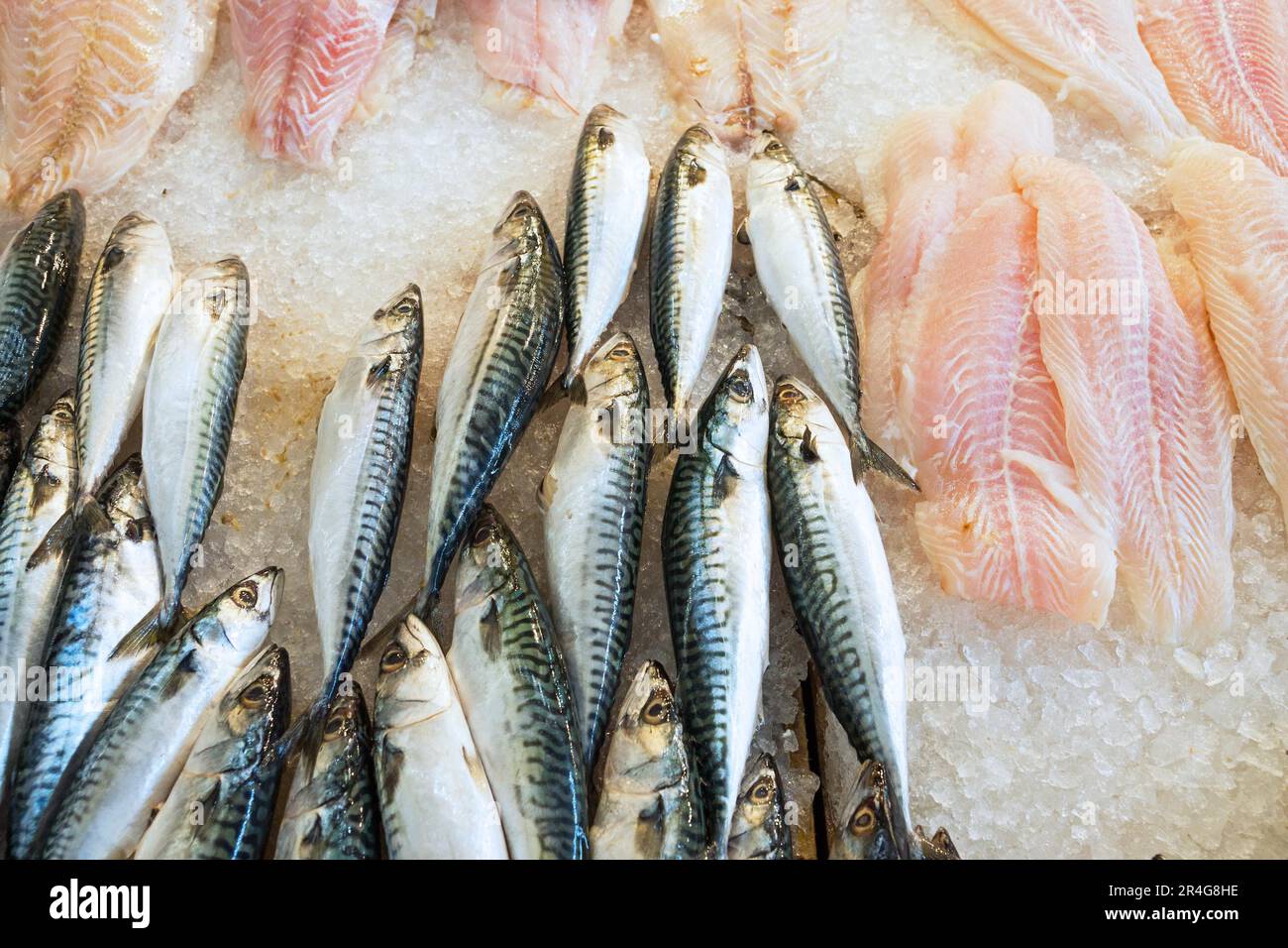 Mackerel and fish fillet at the fish market Stock Photo Alamy
