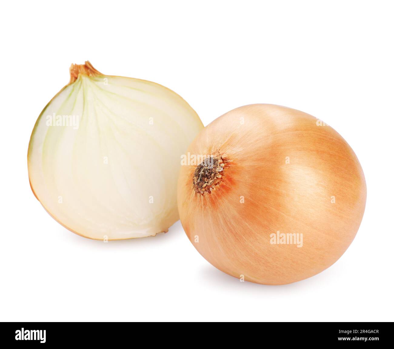 Whole and cut onions on white background Stock Photo - Alamy