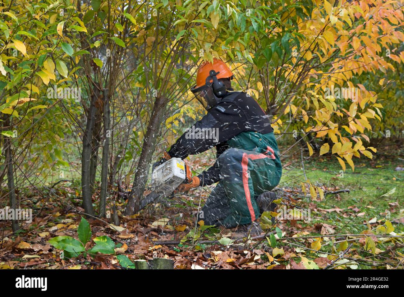 Chainsaw safety helmet hi-res stock photography and images - Alamy