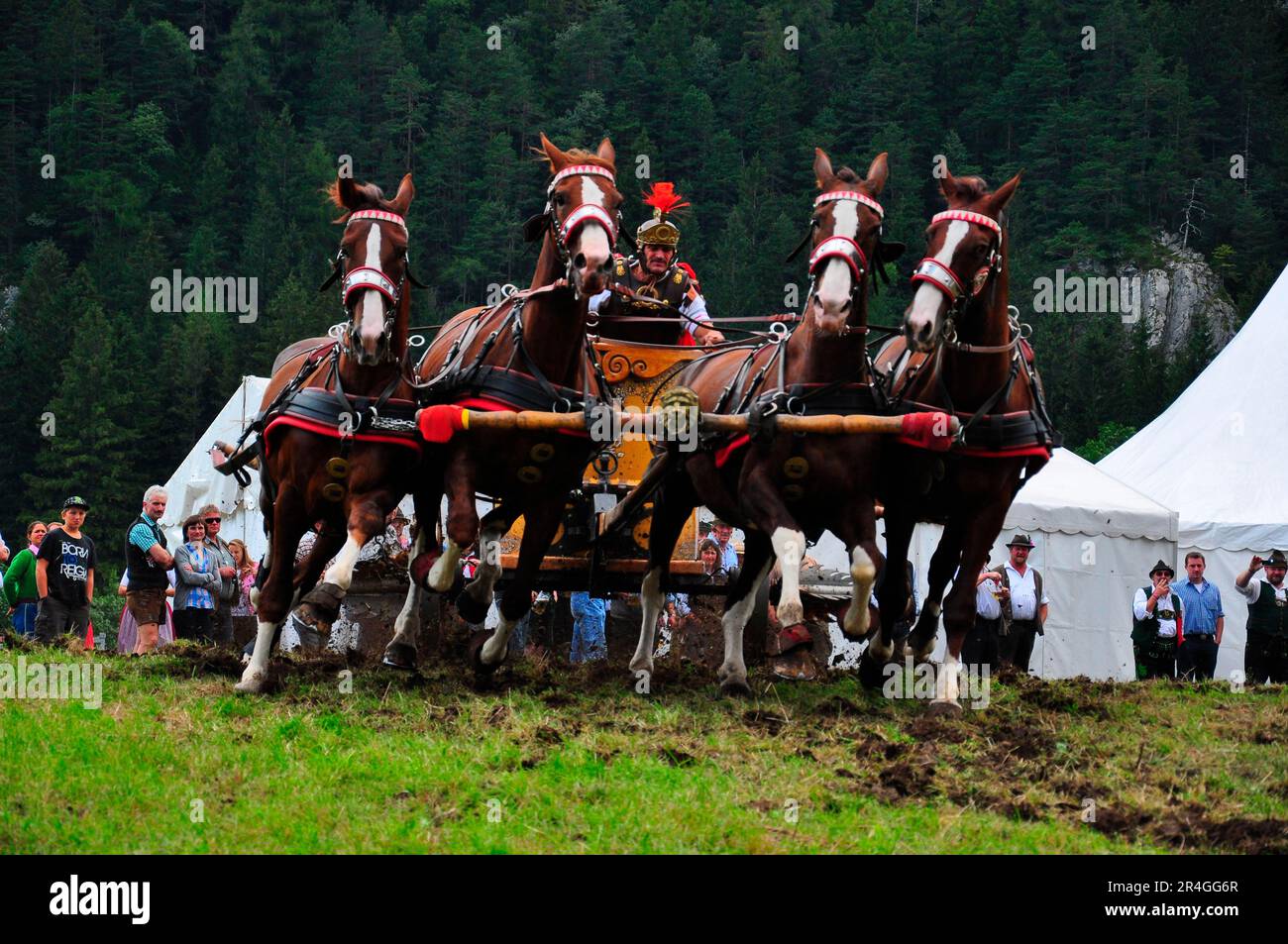 Horse-drawn carriage, Roman carriage, Georgi ride, horse festival, Isar valley, Mittenwald, Upper Bavaria, Bavaria, four-in-hand, Germany Stock Photo