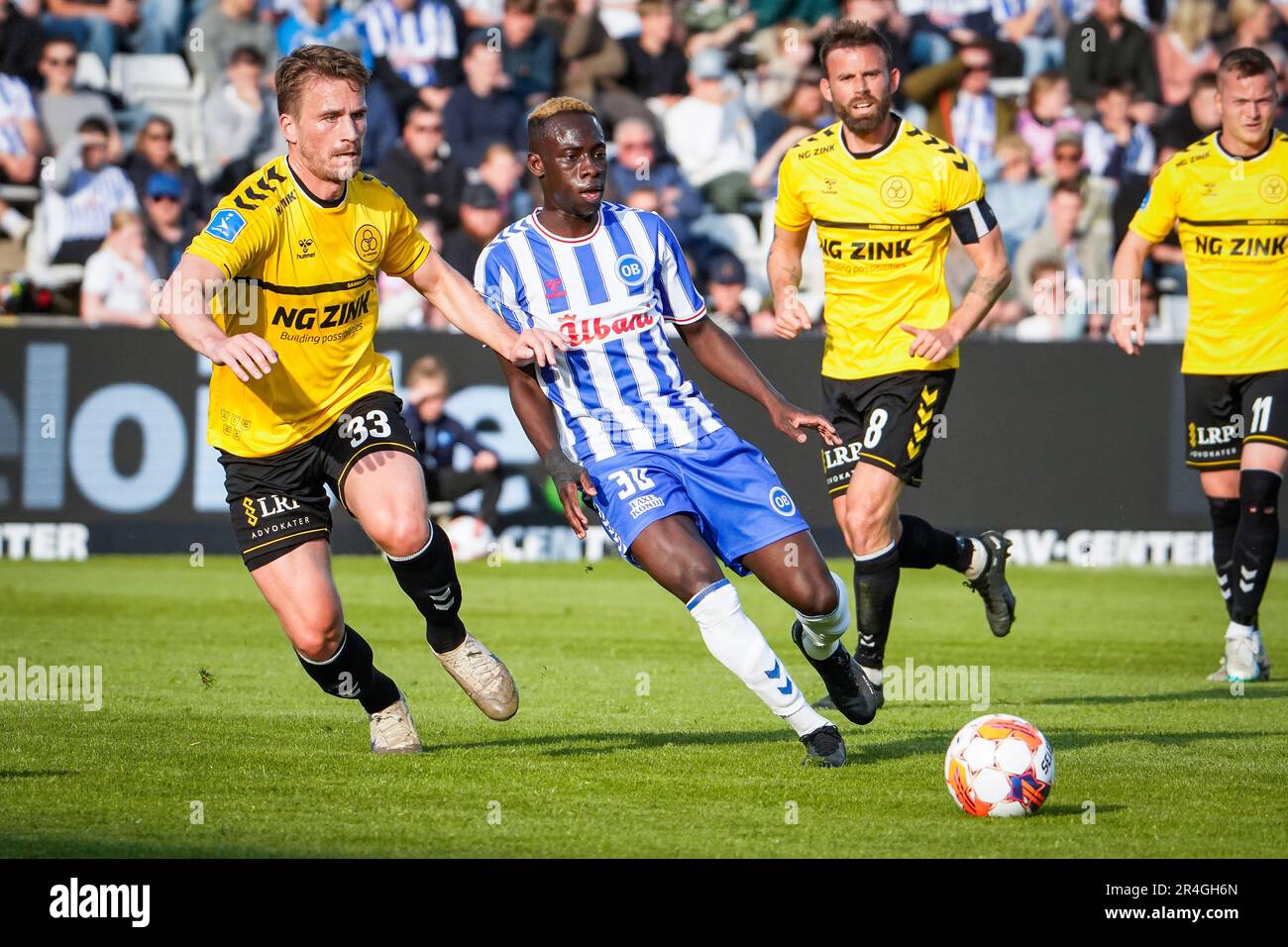 Odense, Denmark. 26th, May 2023. Yankuba Minteh (30) of OB and Alexander  Ludwig (33) of AC Horsens seen during the 3F Superliga match between Odense  Boldklub and AC Horsens at Nature Energy