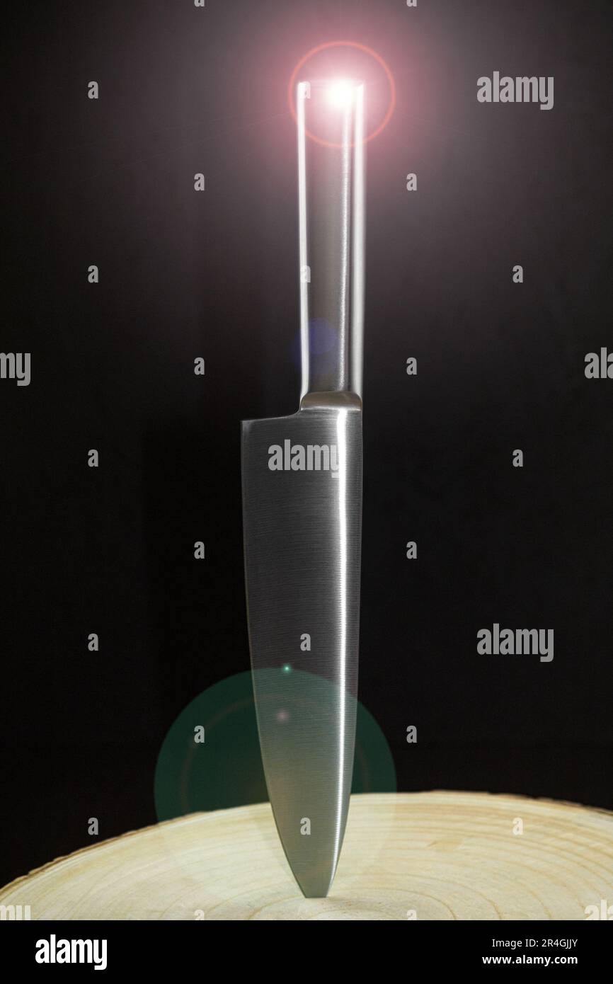 A professional kitchen knife, stuck in a tree, with a sun glare. Close