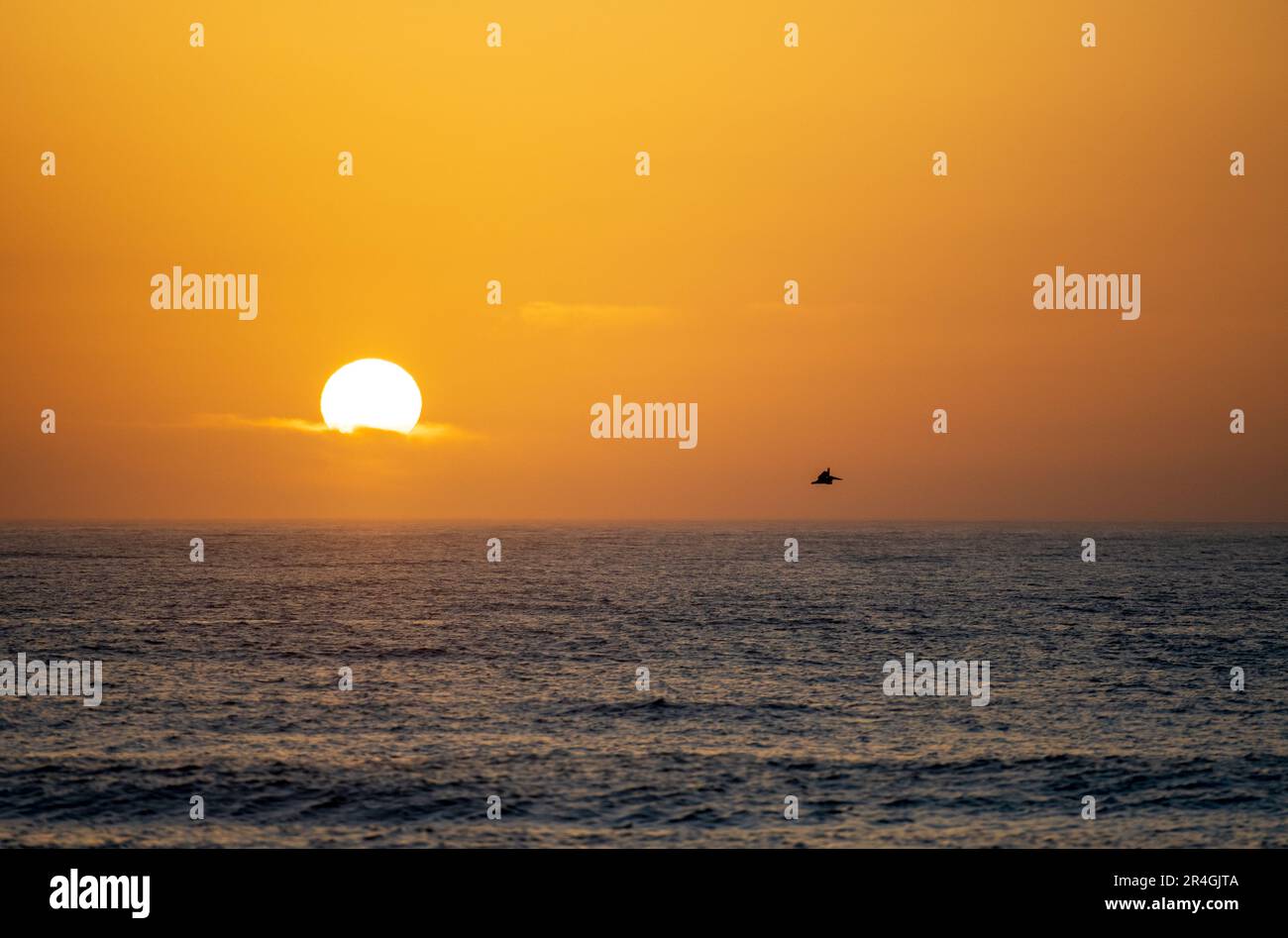 Sunrise over the Florida Atlantic coast Stock Photo - Alamy