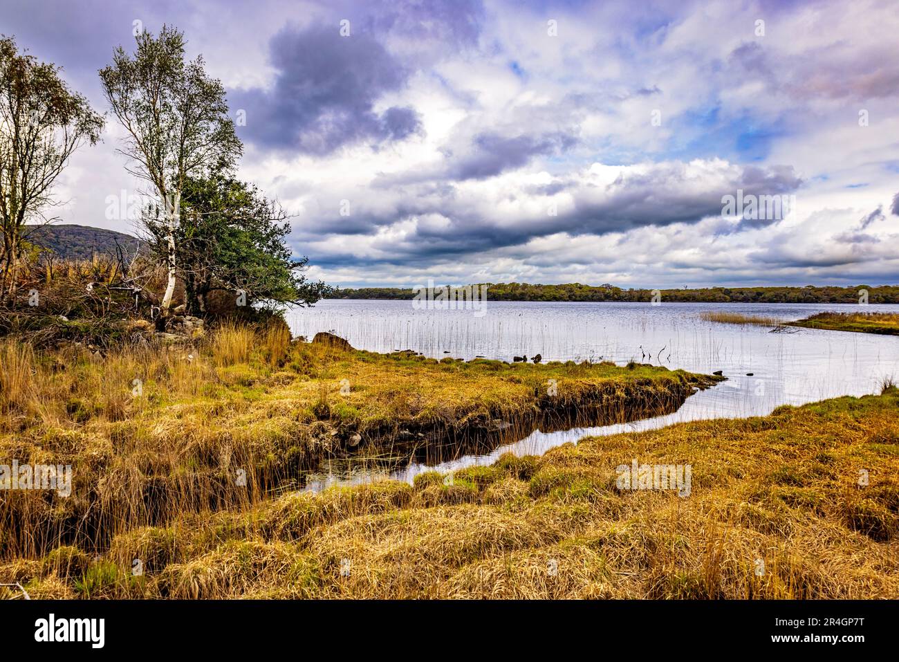 Muckross Lake, Killarny National Park, County Kerry, Ireland Stock Photo