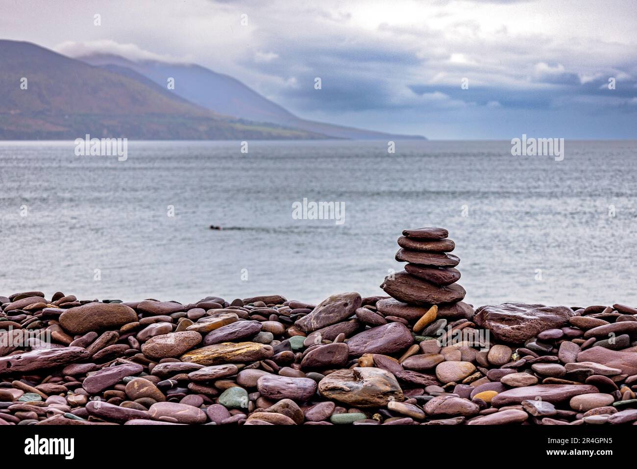 Cobbles at Rossbeigh Strand and Dingle Bay, County Kerry, Ireland Stock Photo