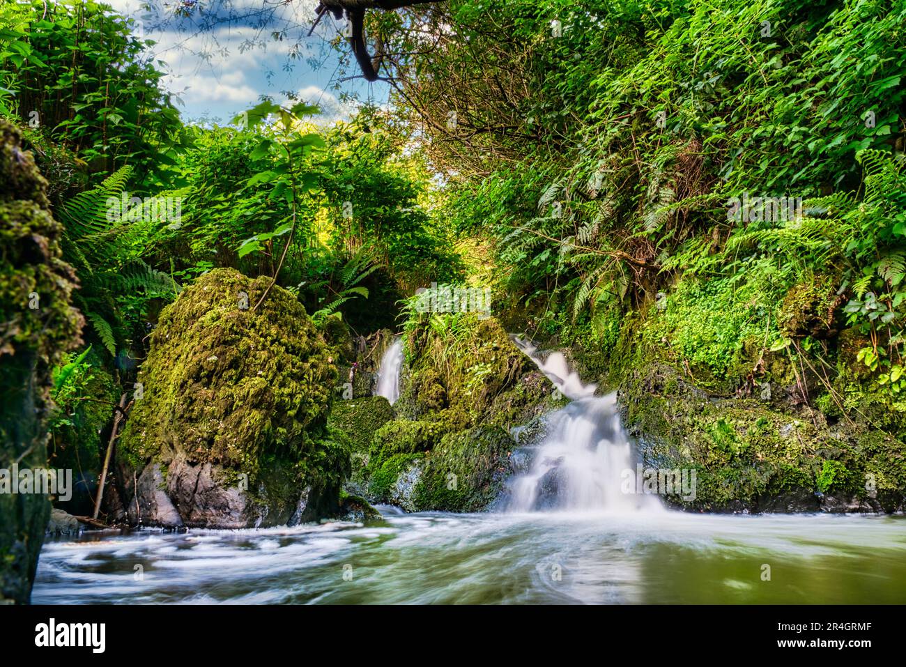 Waterfall and pond at Stricklands Glen, Bangor, on the North Down