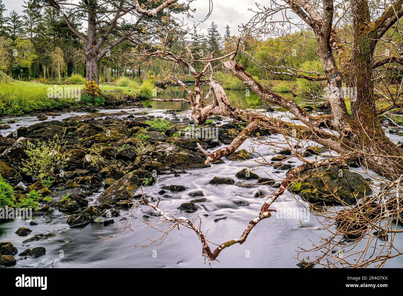 River Caragh at Blackstones Bridge, Glencanane, County Kerry, Ireland Stock Photo