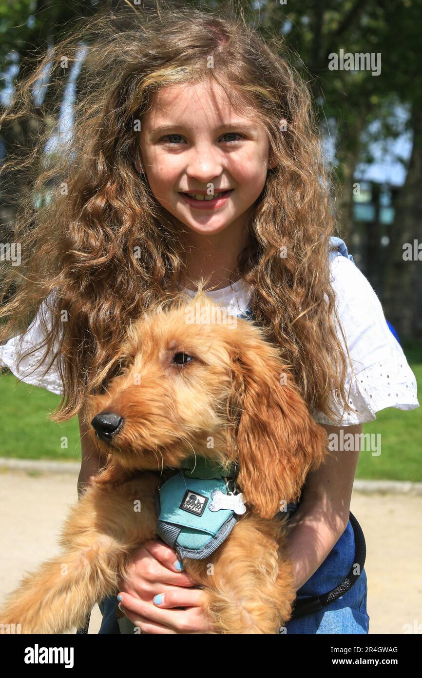 London, UK. 28th May, 2023. Fluffy McMurphy, a Golden Doodle Irish Wolfhound mix is competing with Grace, his owner, in the 'Best Owner Lookalike' competition. Old Royal Naval College hosts the inaugural Greenwich Dog Show. The 10 show categories include Waggiest Tail, Best Owner Lookalike, Best Dressed Pooch, Scruffiest Dog and Cutest Pup. Judges are celebrity guest Nina Wadia, influencer Aurélie Four with corgi Marcel, Matthew Mees CEO and a Christopher Wren lookalike. Credit: Imageplotter/Alamy Live News Stock Photo