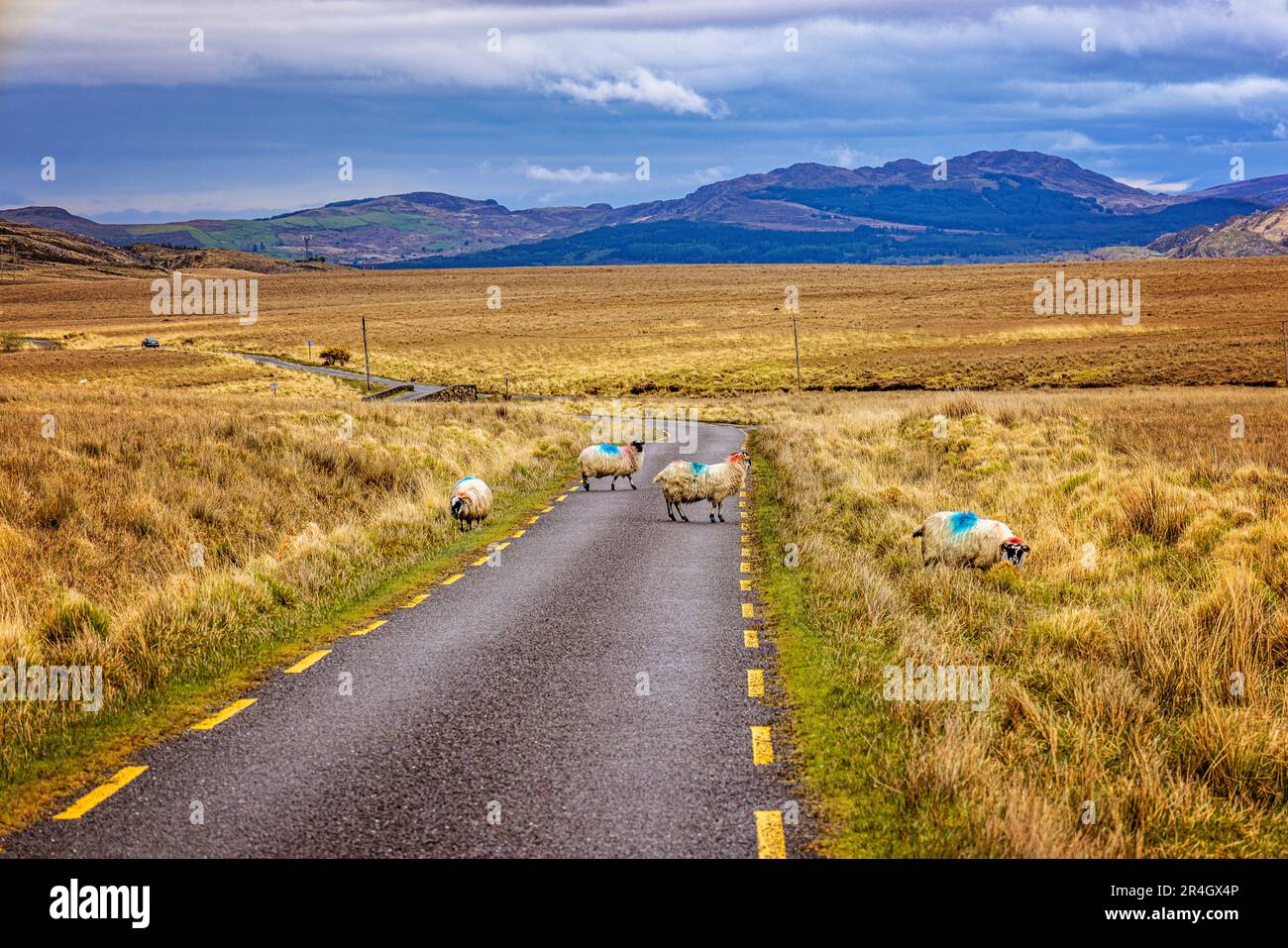 Road from Ballaghasheen Pass, County Kerry, Ireland Stock Photo
