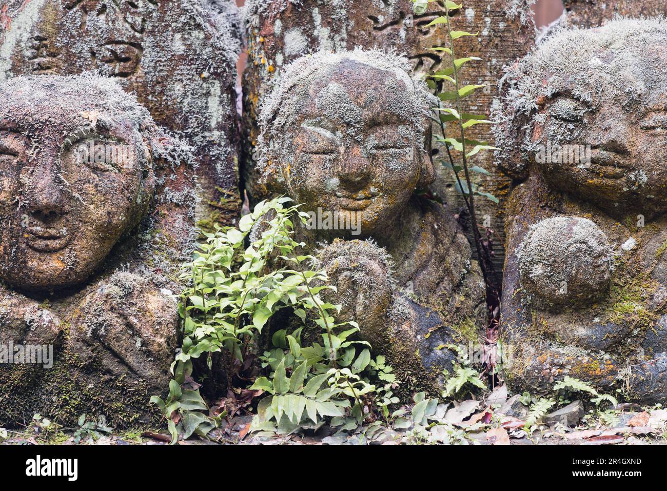 picture of Buddhist rakan stone statues at the Otagi Nenbutsuji temple